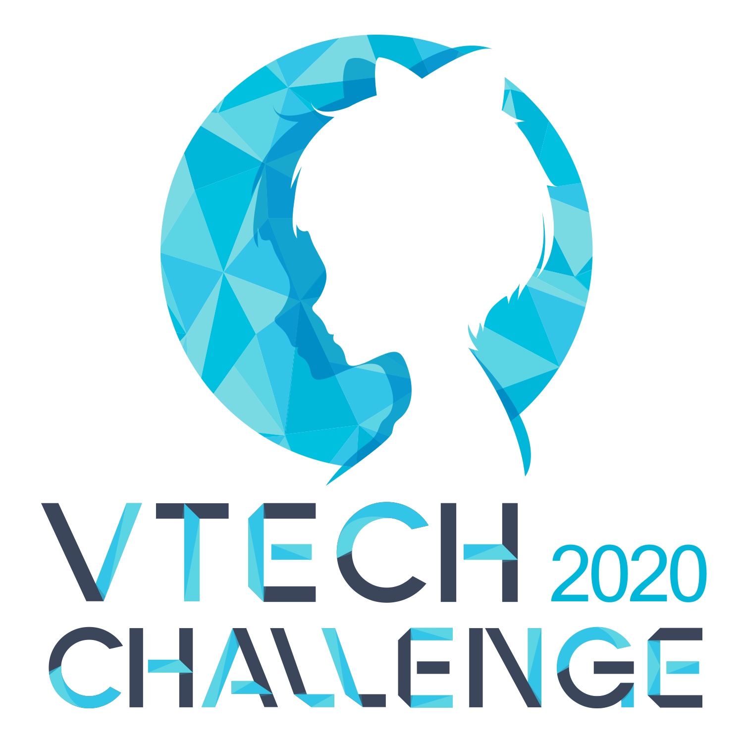 VTech Challenge 2020